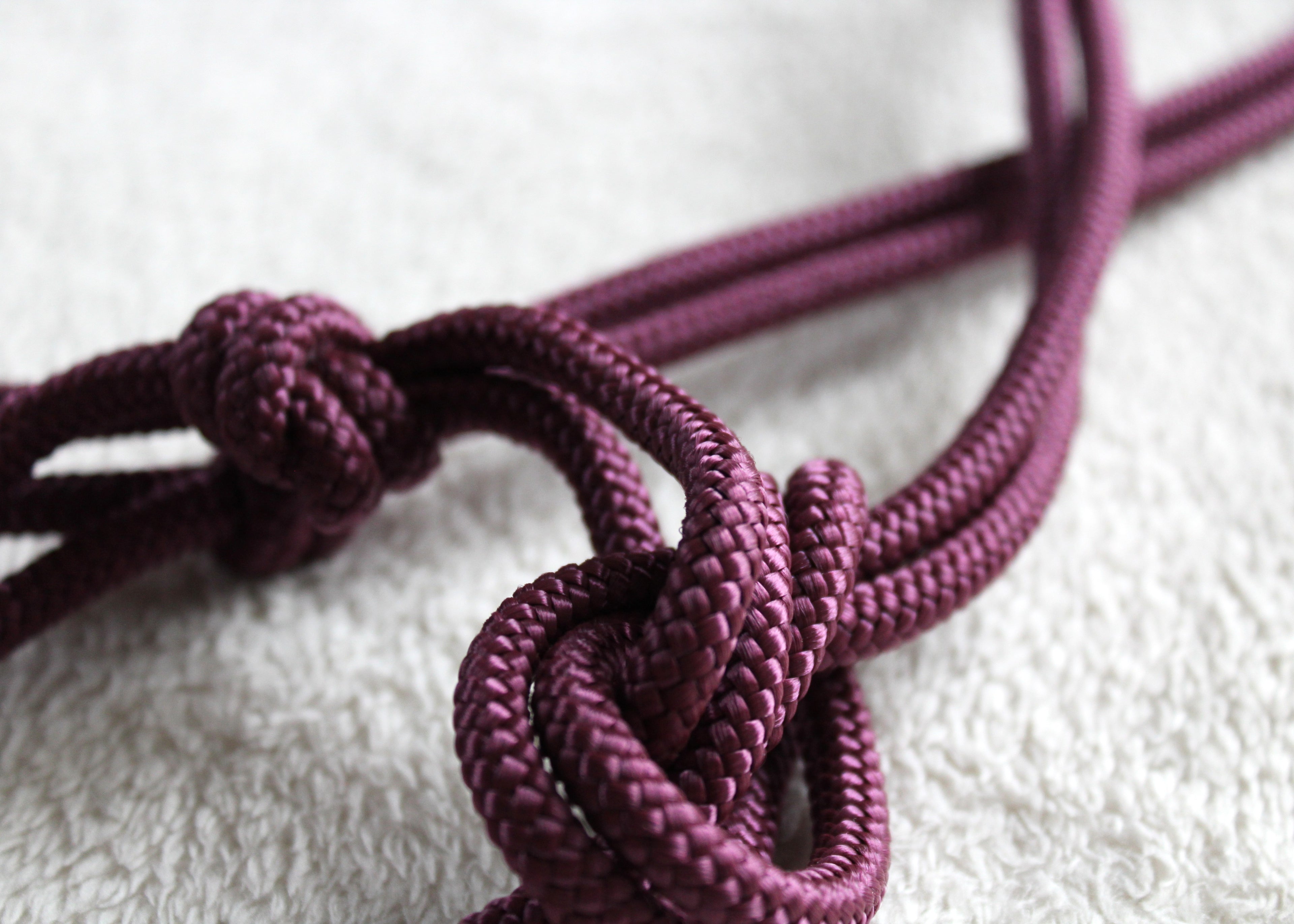 Licol en corde  Couleur unie