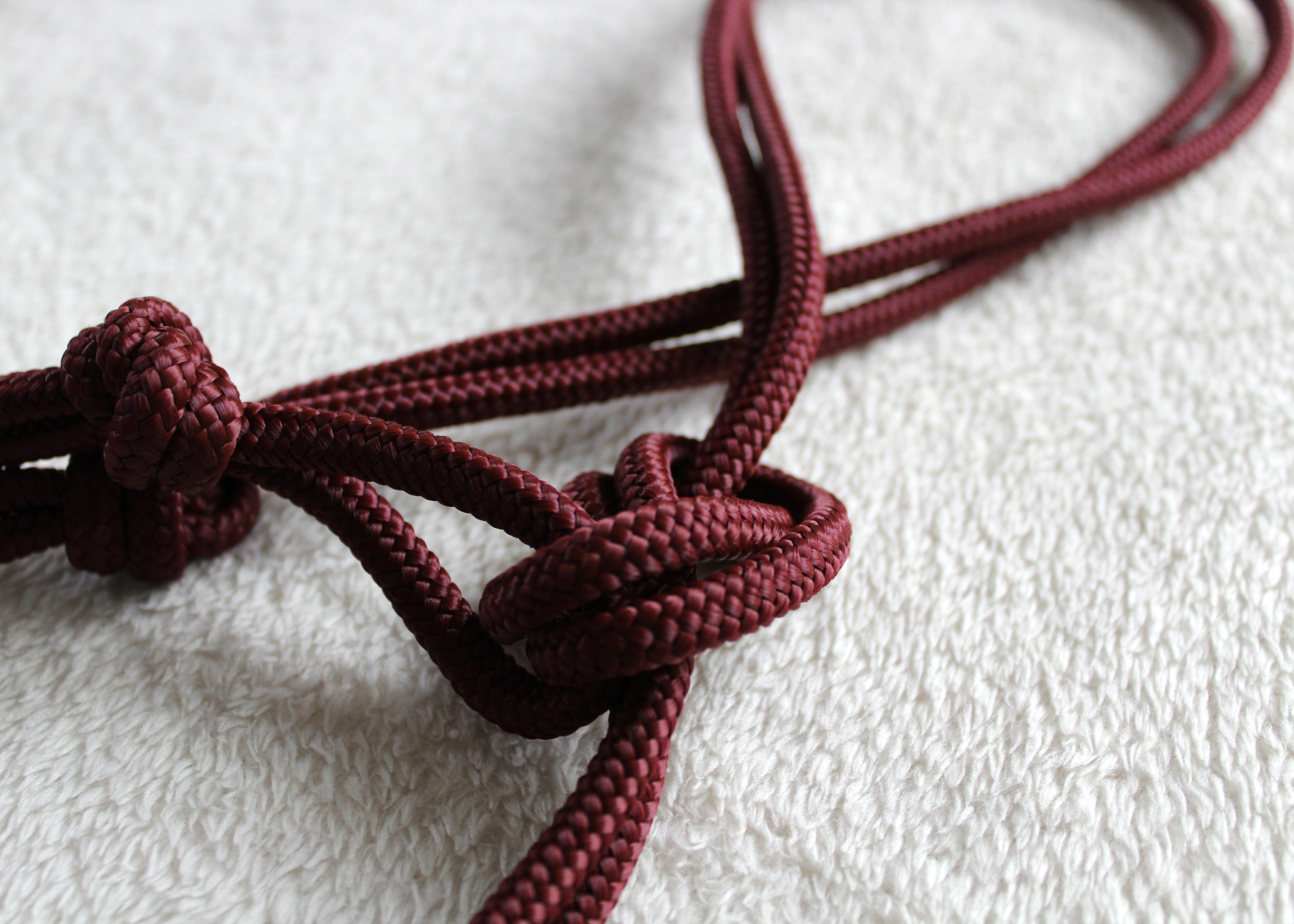 Licol en corde  Couleur unie