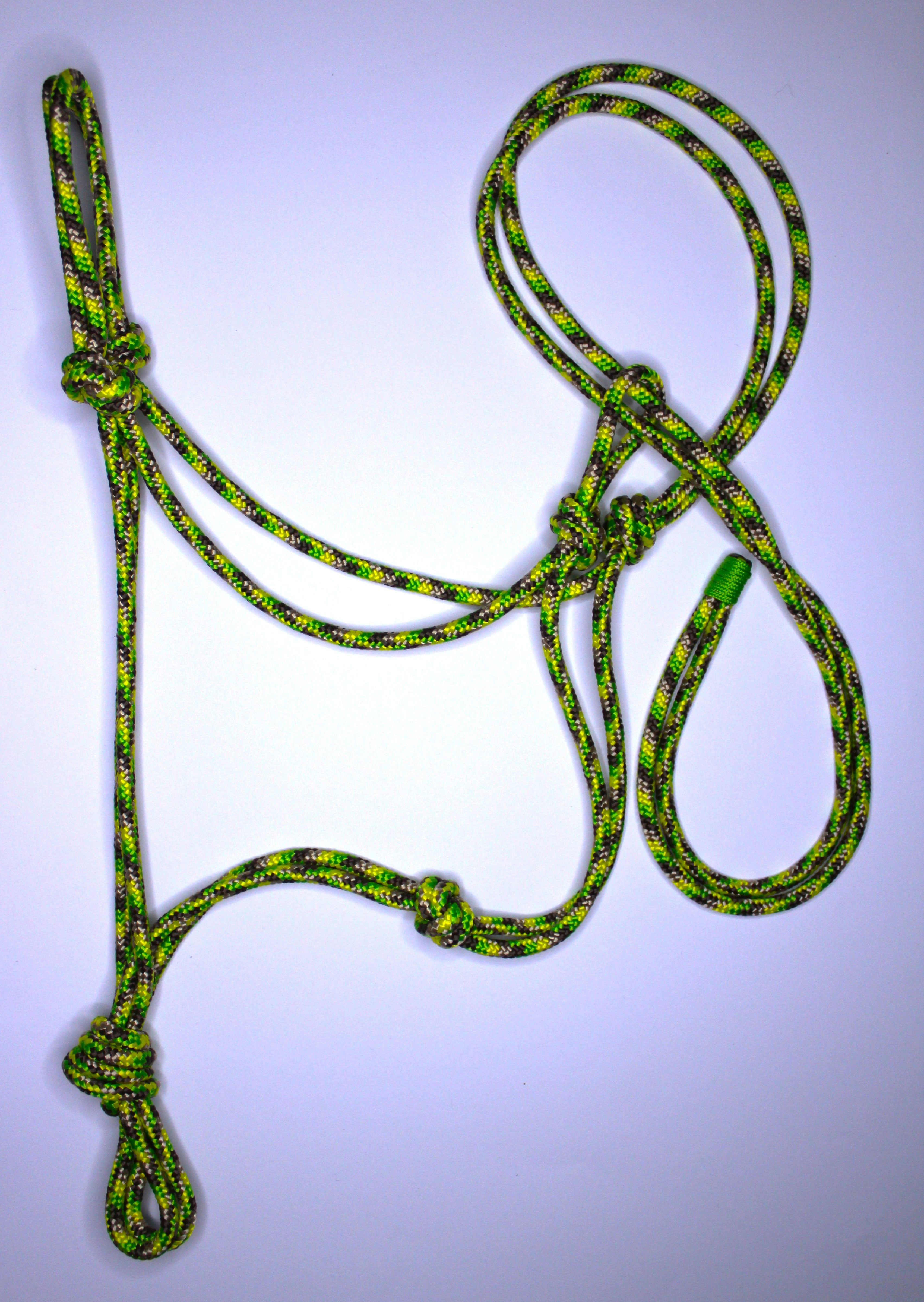 Licol en corde  Couleurs mix