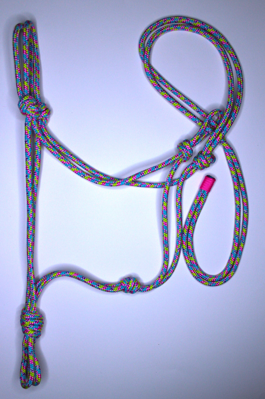 Licol en corde  Couleurs mix