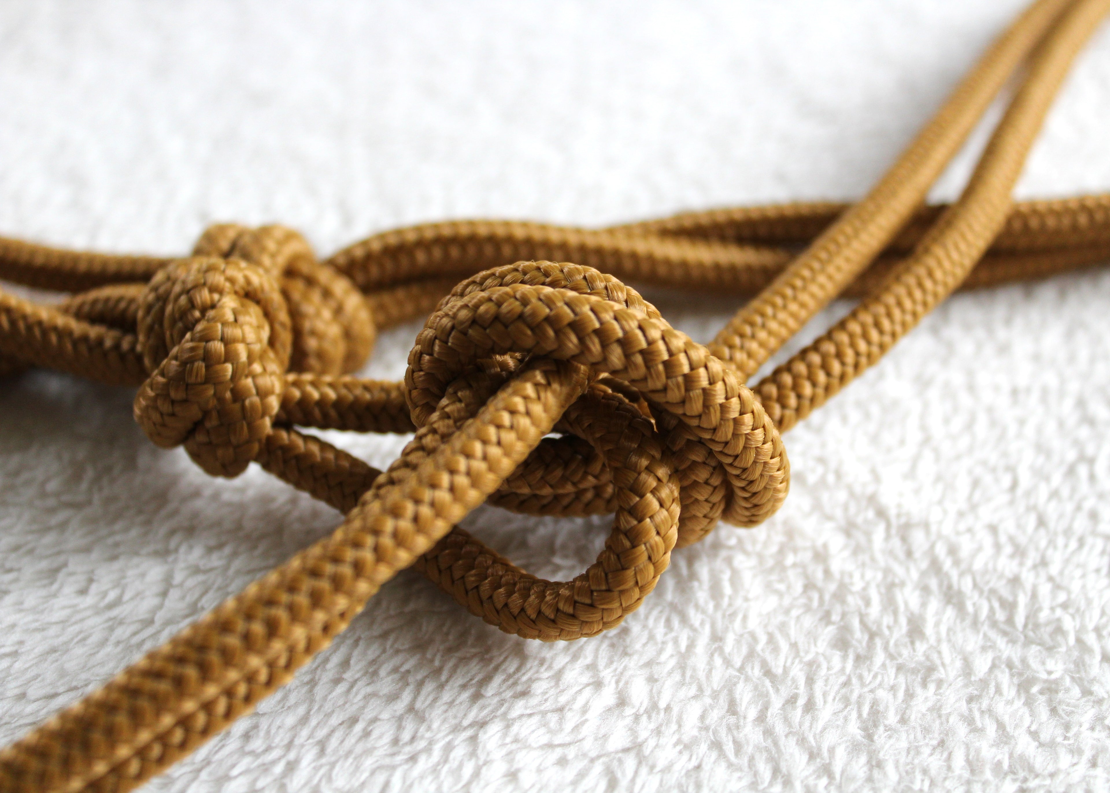 Licol en corde  Couleur unie