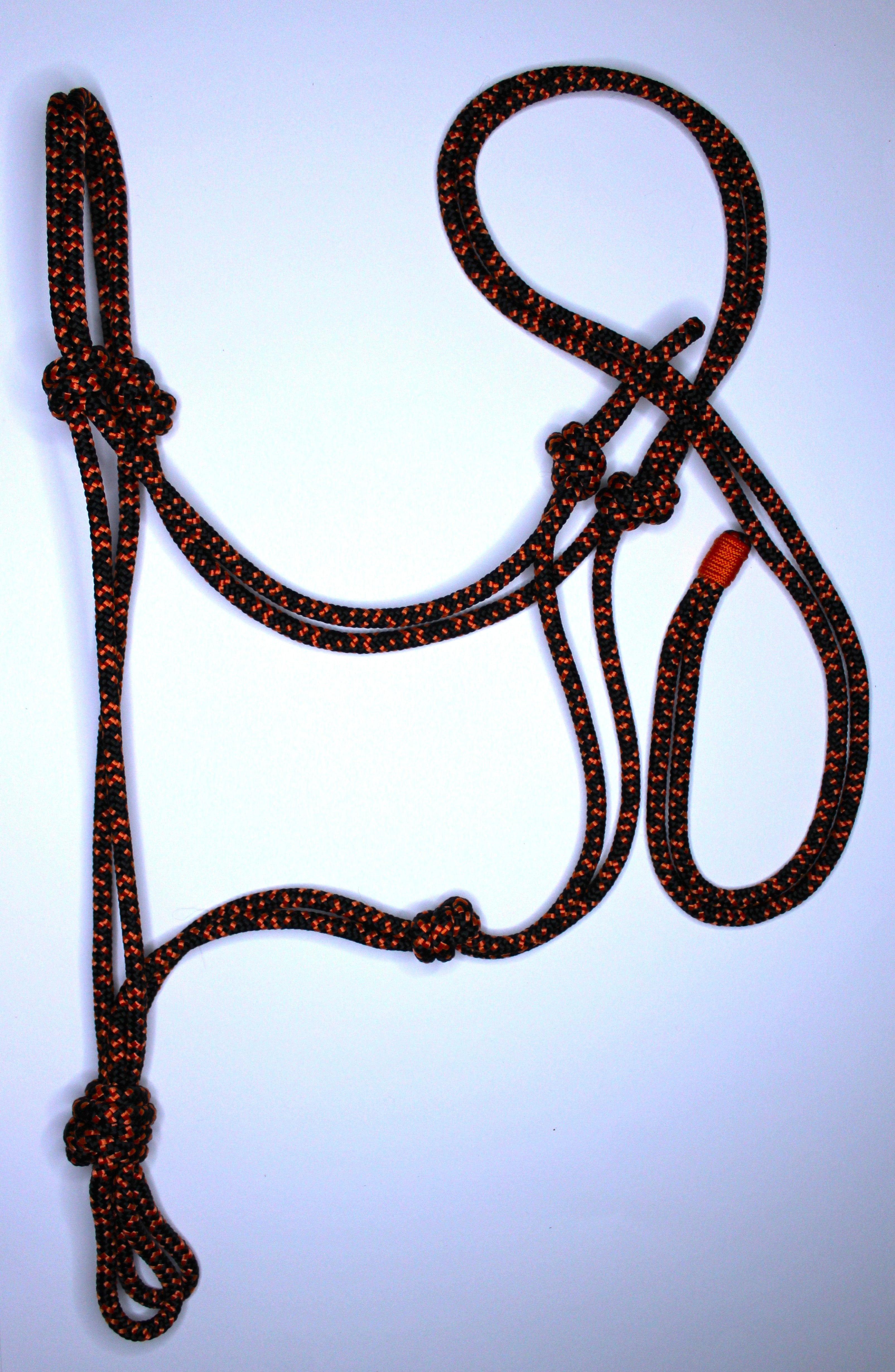 Licol en corde  Couleurs mix