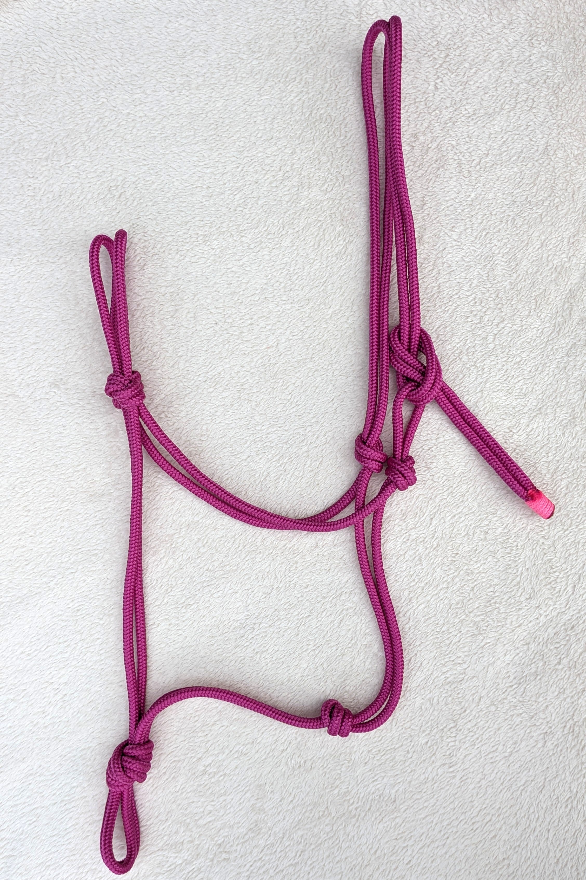 Licol en corde  Couleur unie