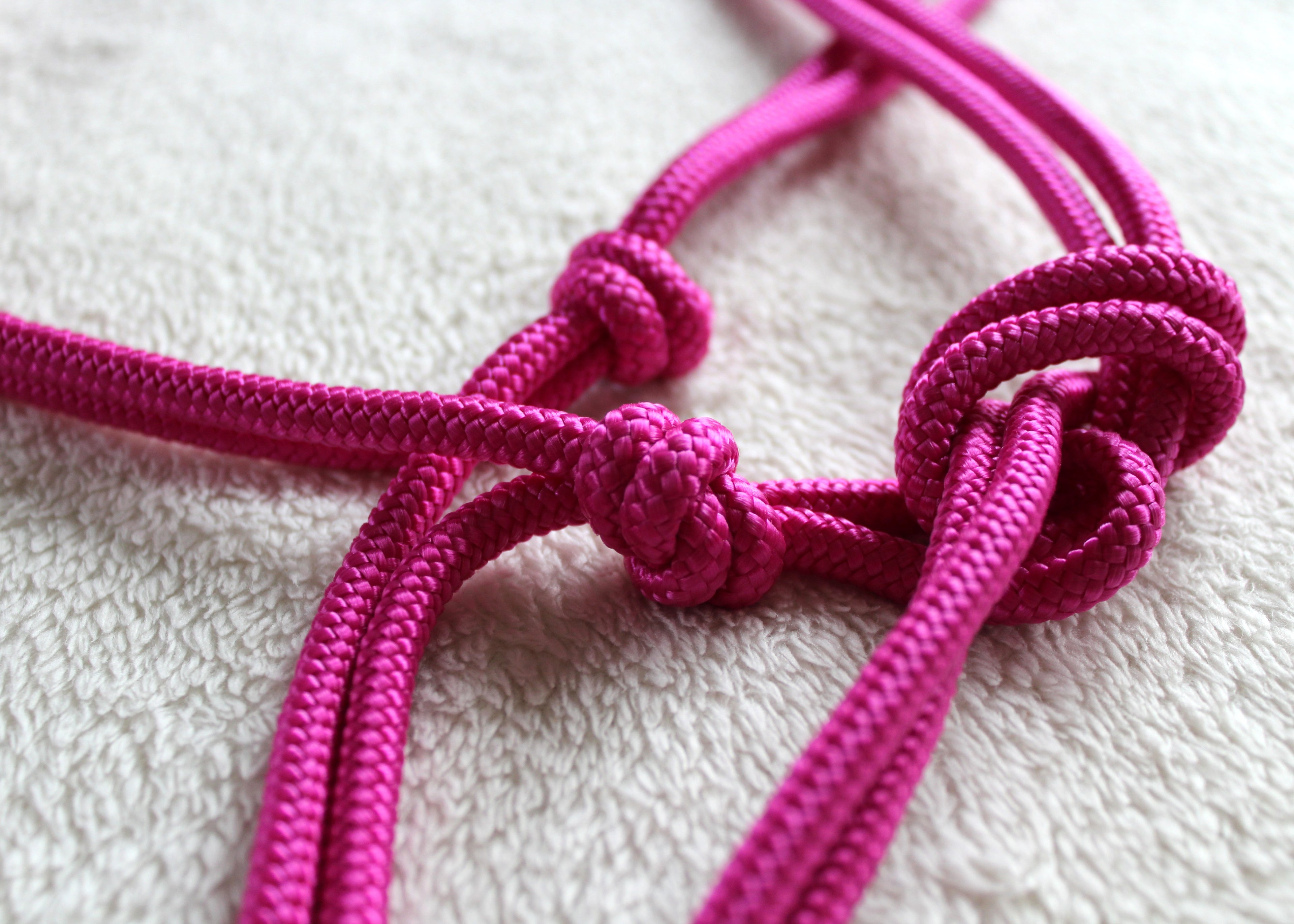 Licol en corde  Couleur unie