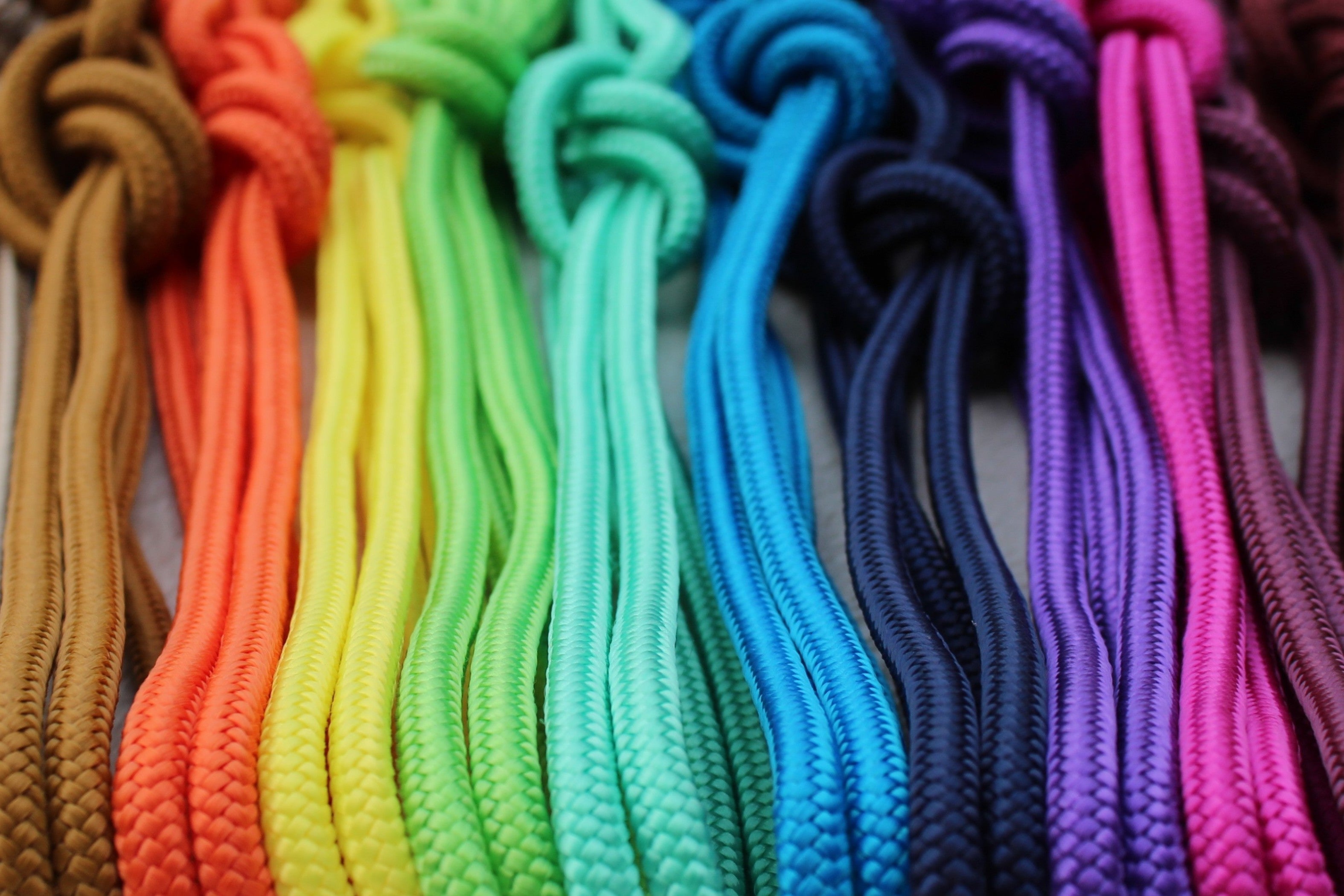 Licol en corde  Couleur unie