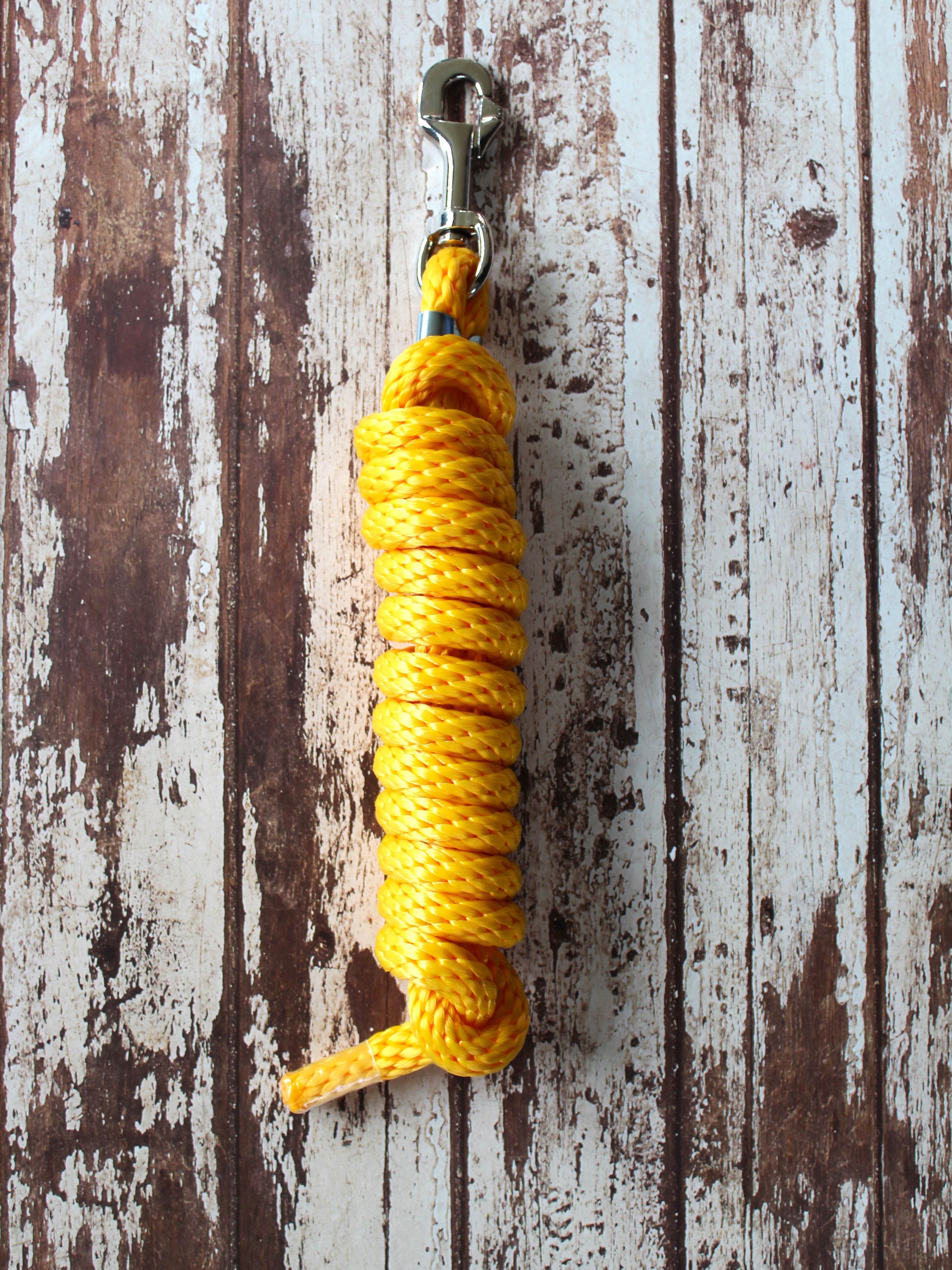 Longe d'attache classique