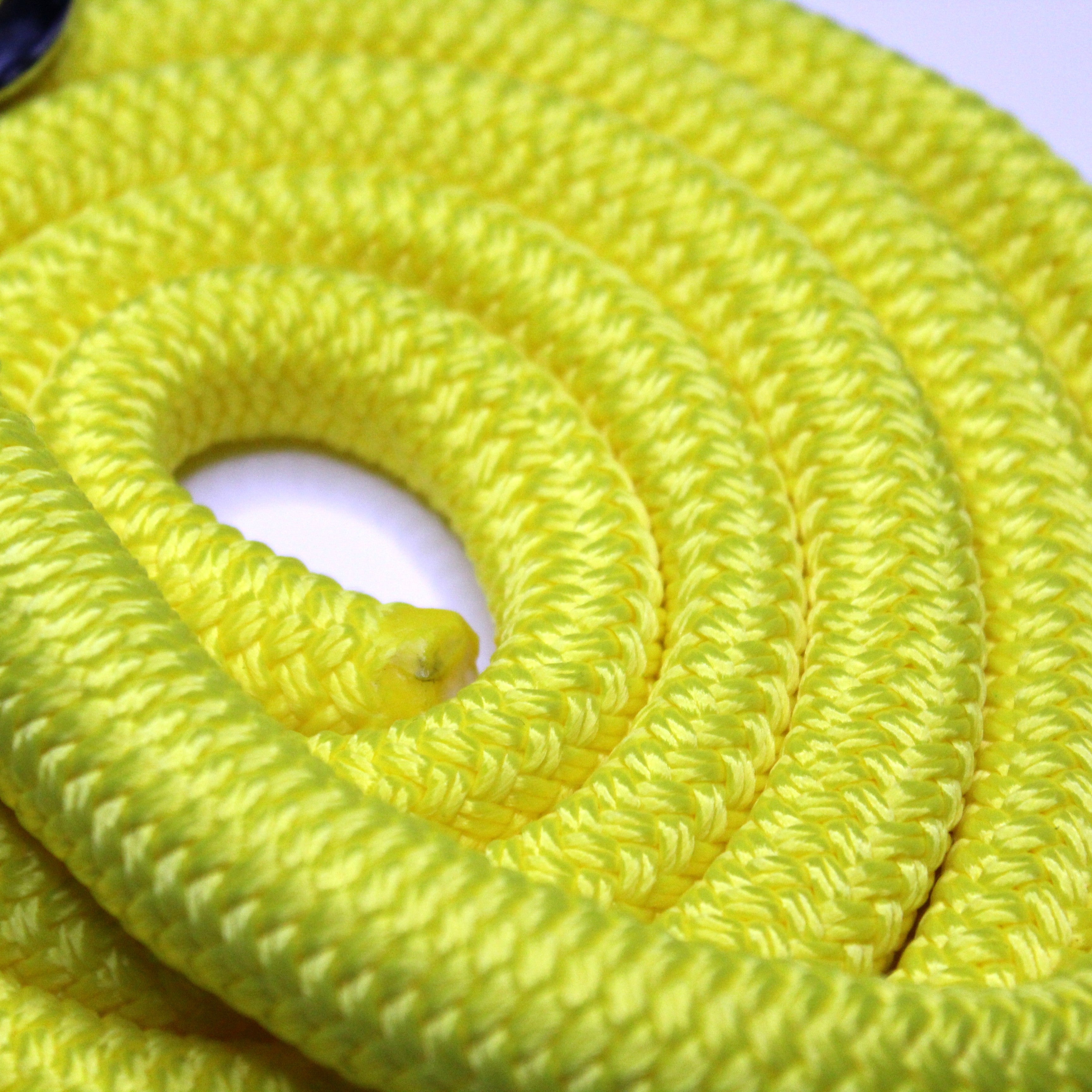 Longe d'attache "Luxe"