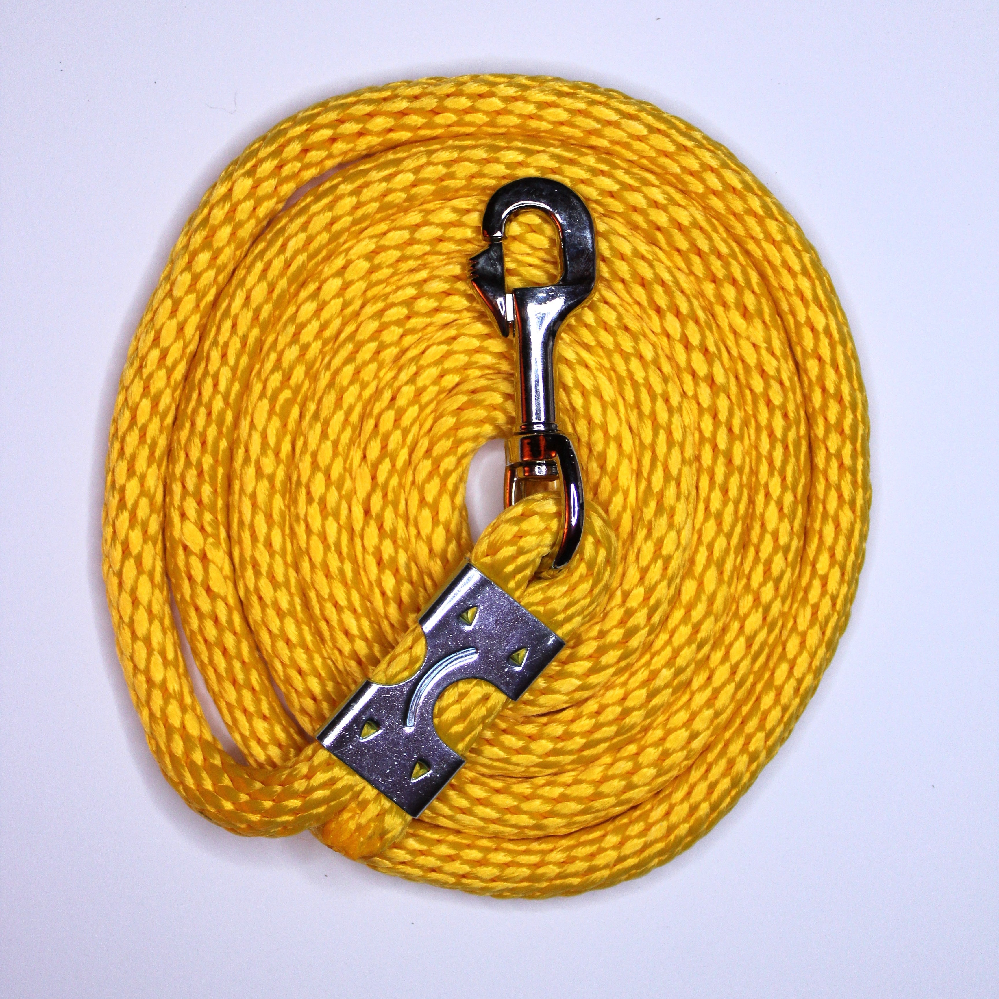 Longe d'attache classique