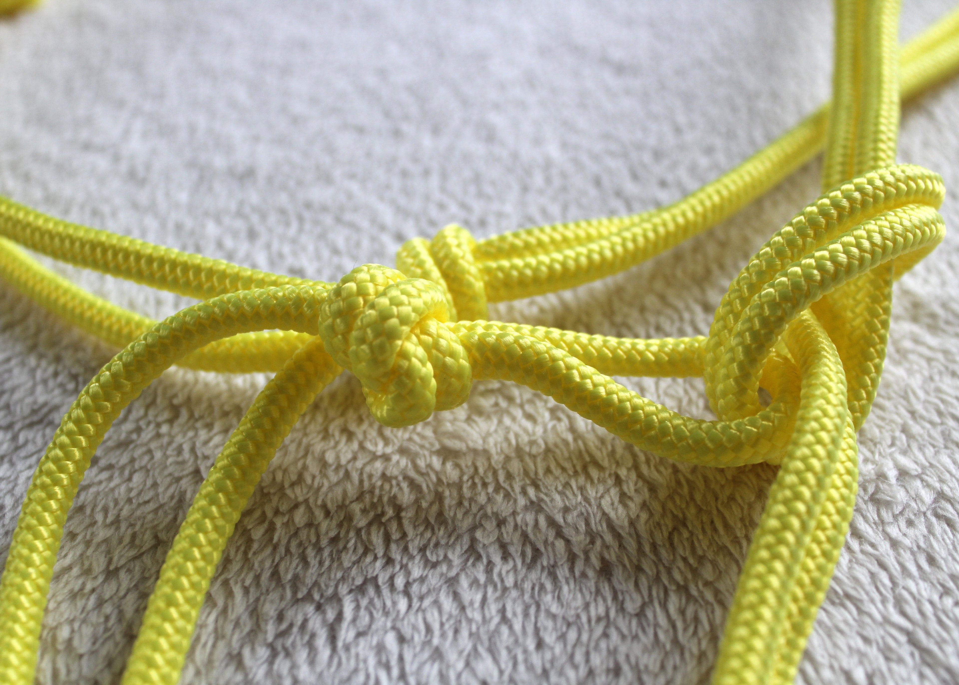 Licol en corde  Couleur unie