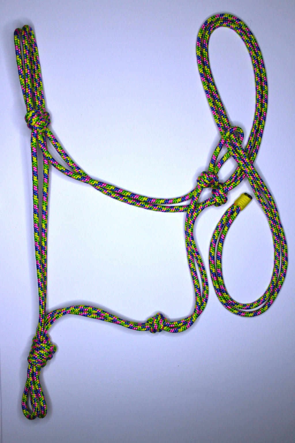 Licol en corde  Couleurs mix