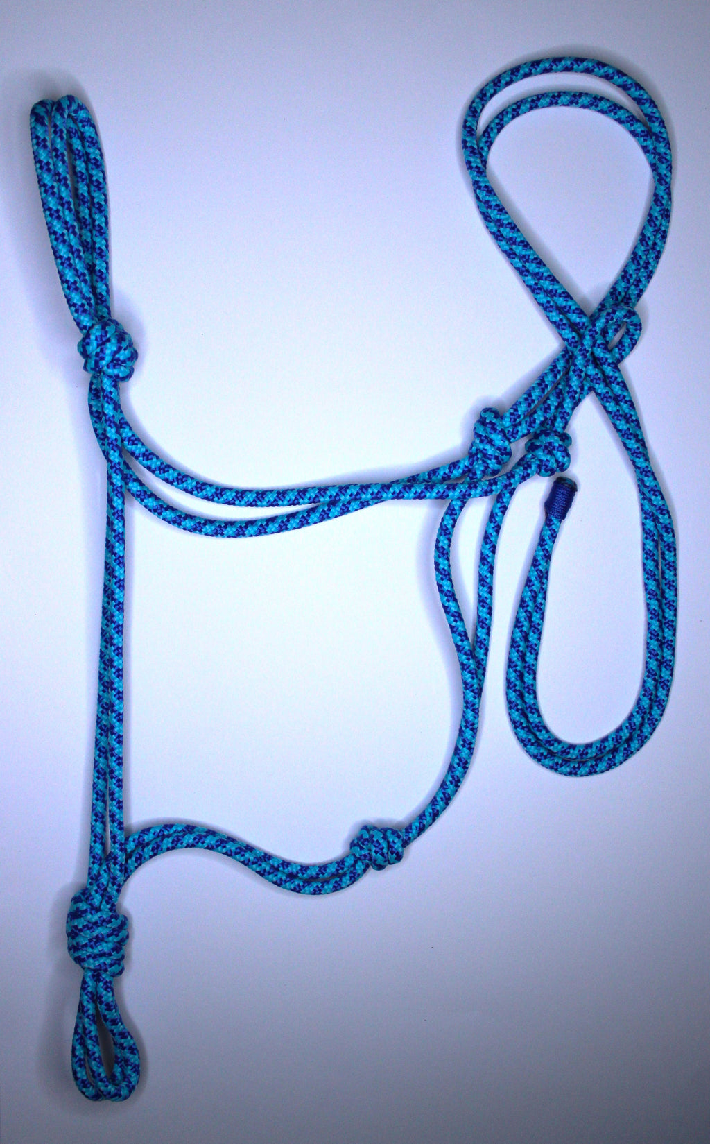 Licol en corde  Couleurs mix