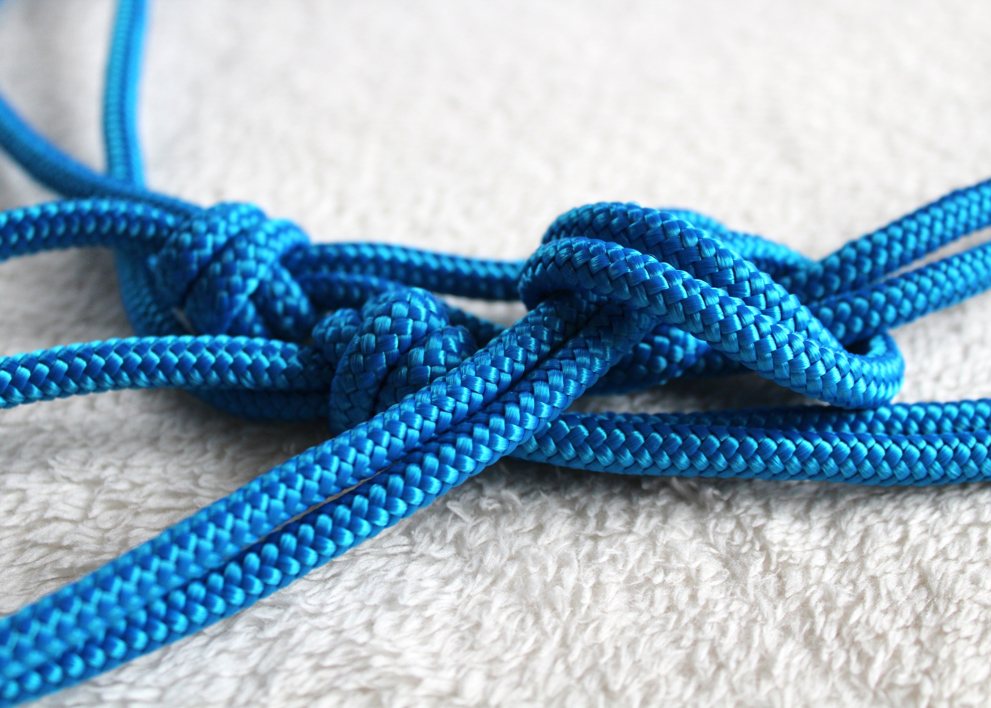 Licol en corde  Couleur unie