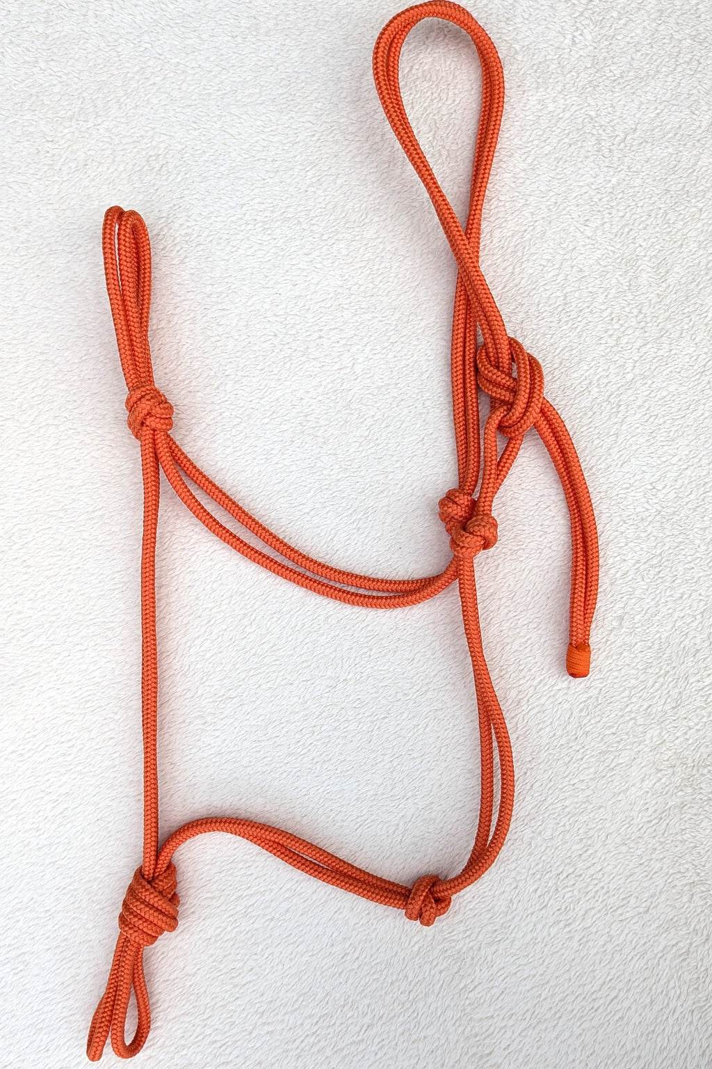 Rope halter - Solid colour