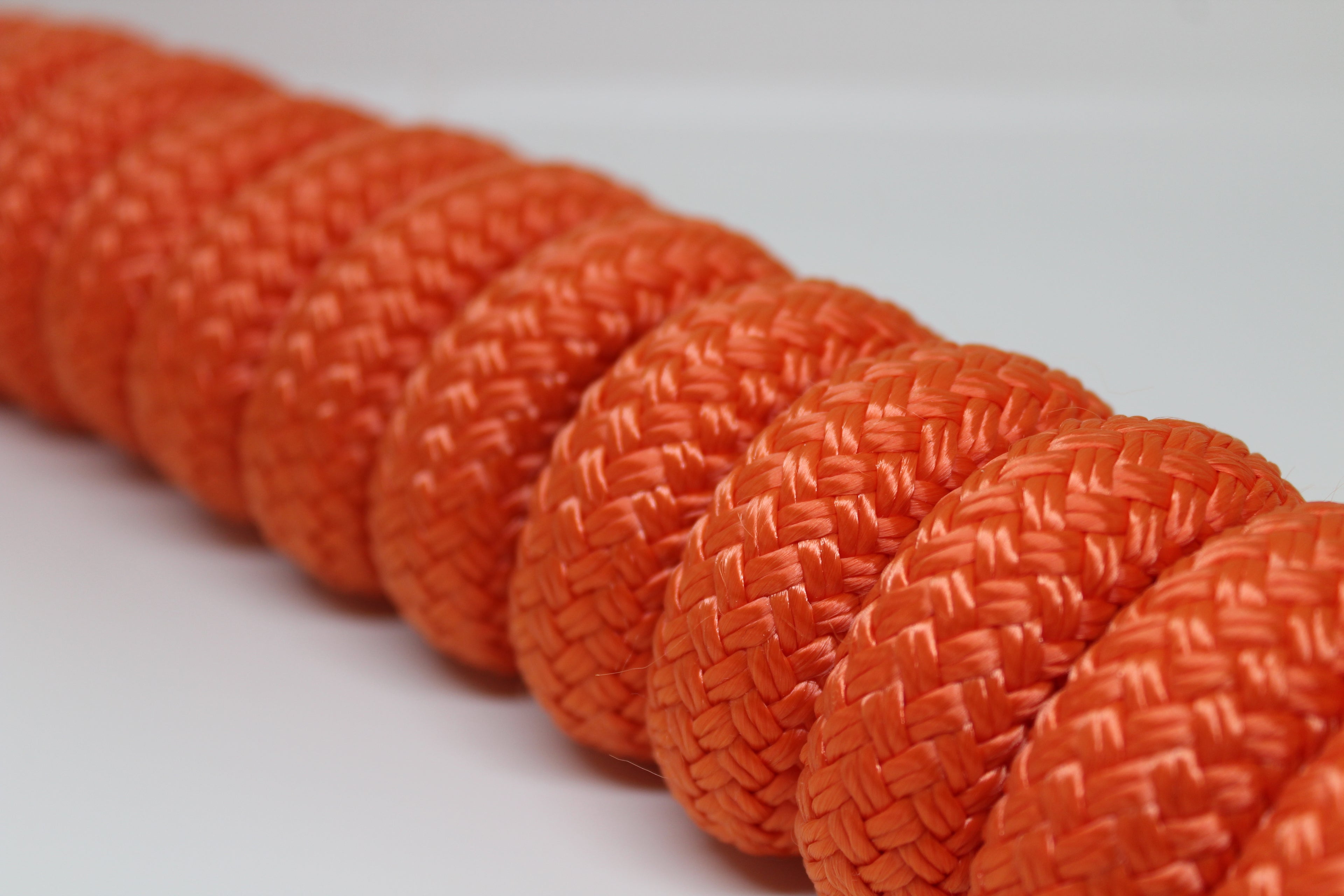 Longe de travail avec popper cuir