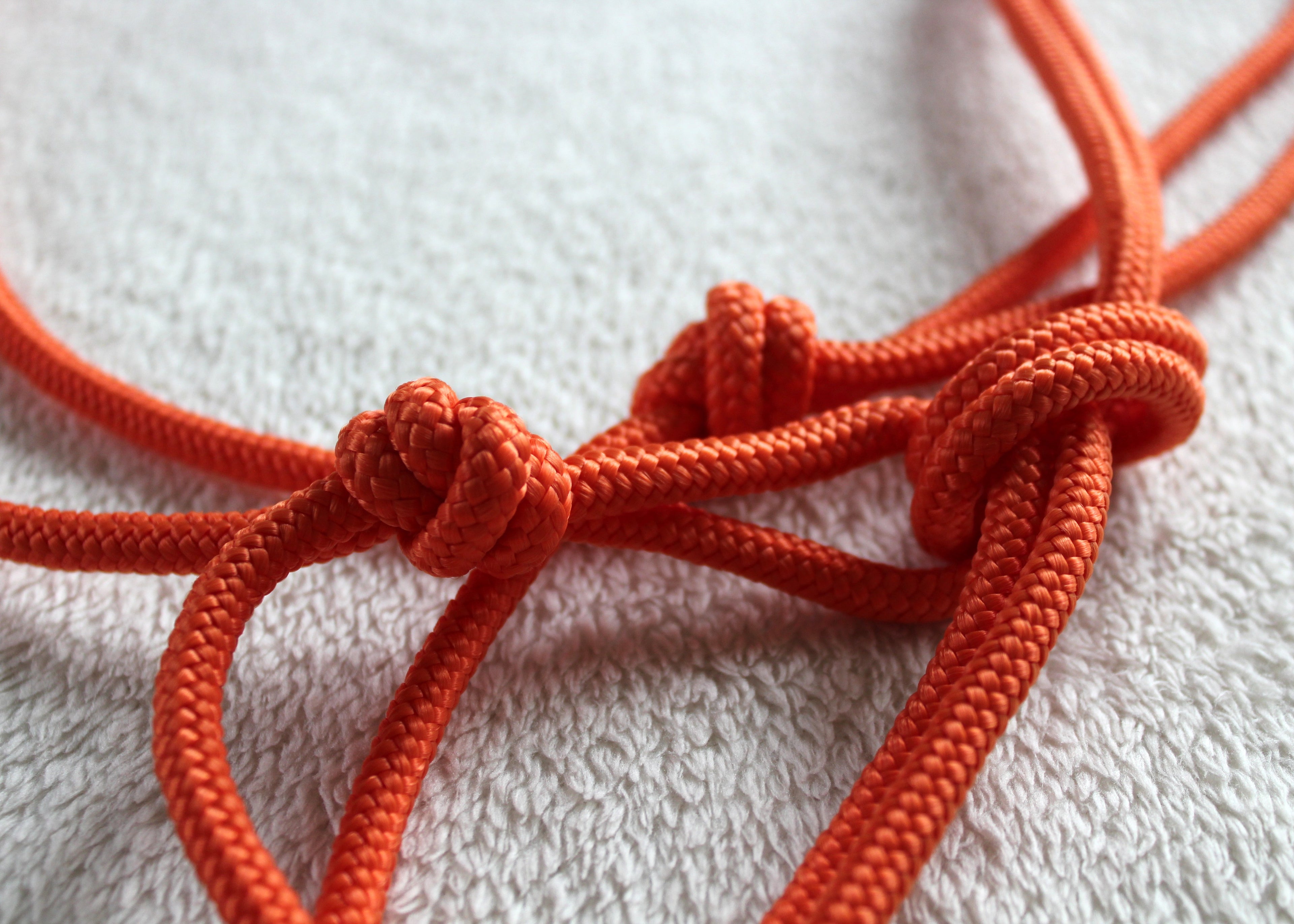 Licol en corde  Couleur unie