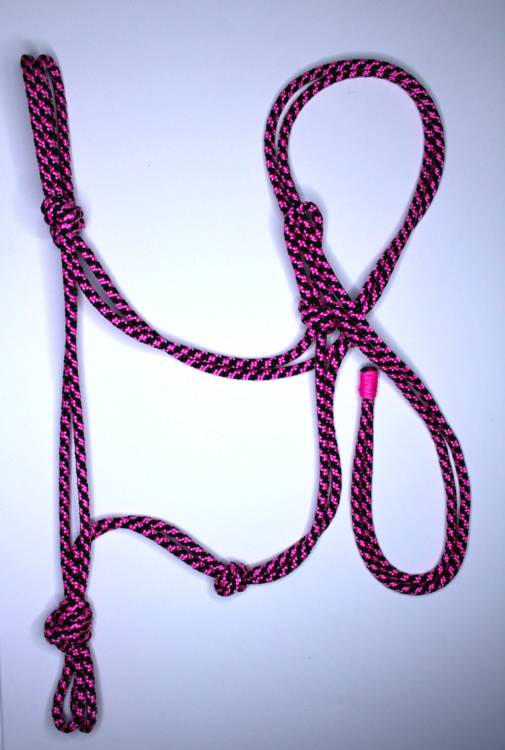 Licol en corde  Couleurs mix