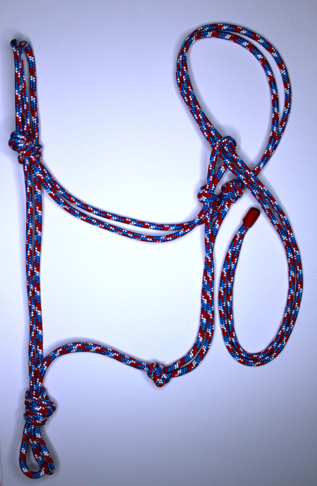 Licol en corde  Couleurs mix