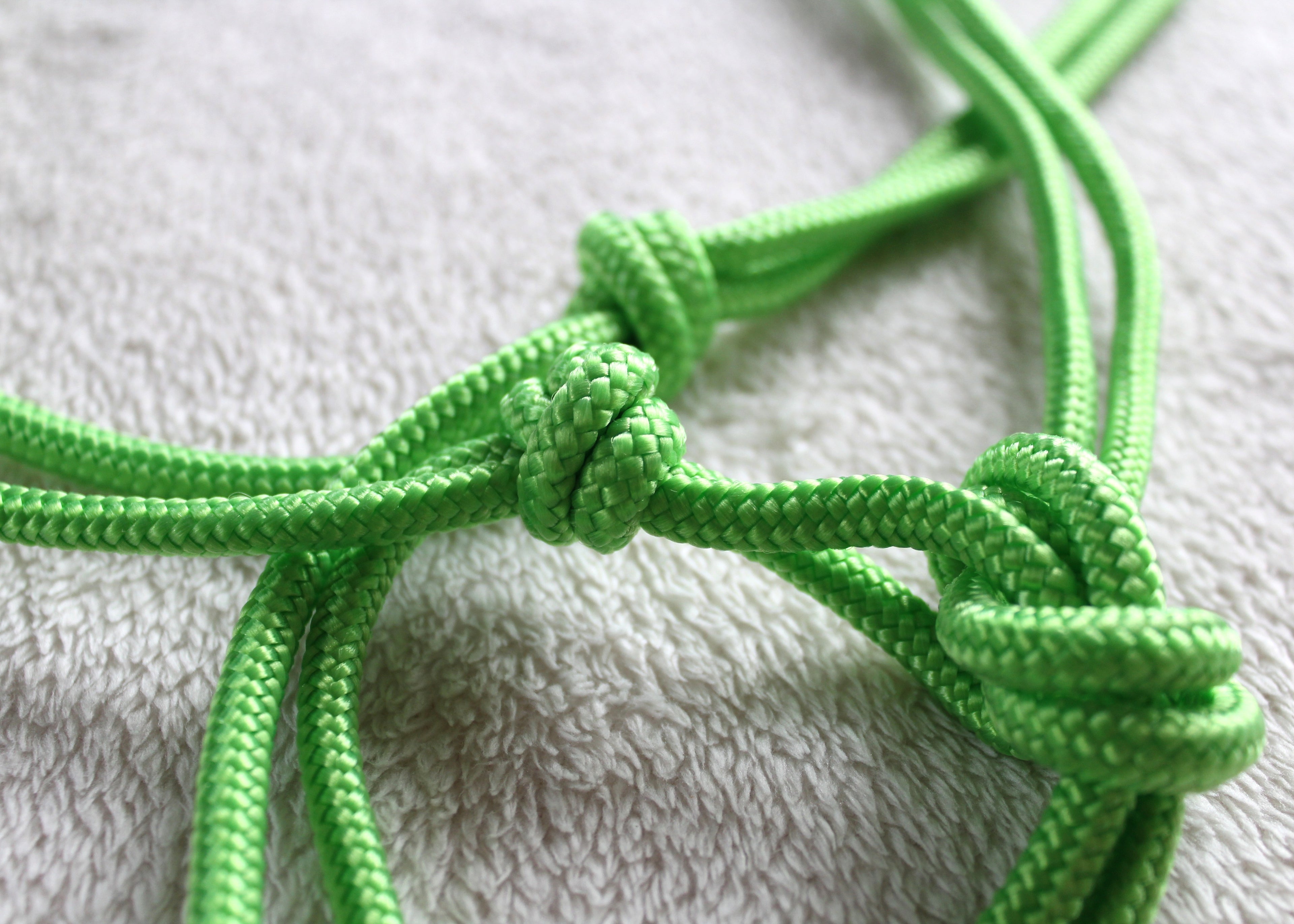 Licol en corde  Couleur unie