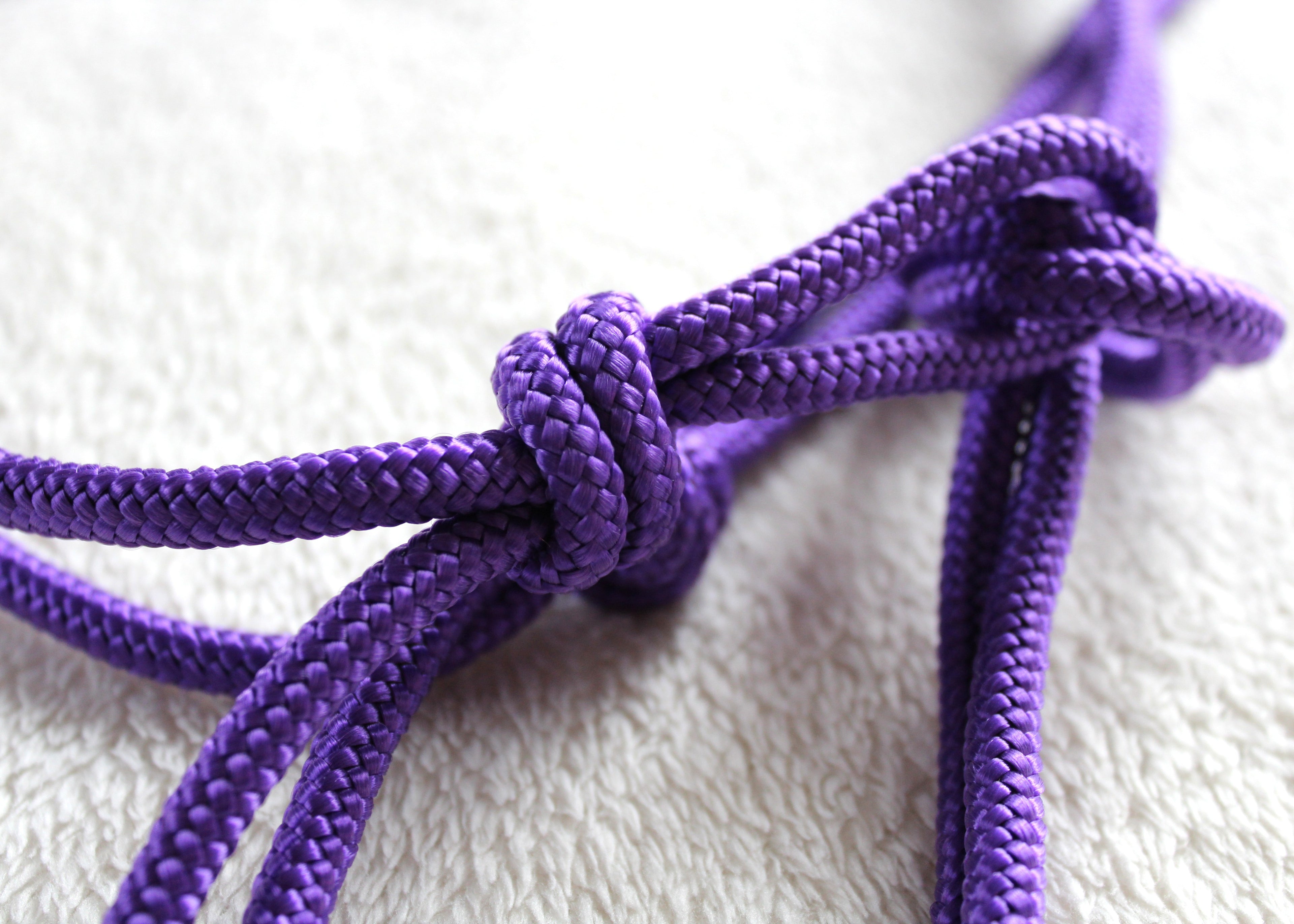 Licol en corde  Couleur unie